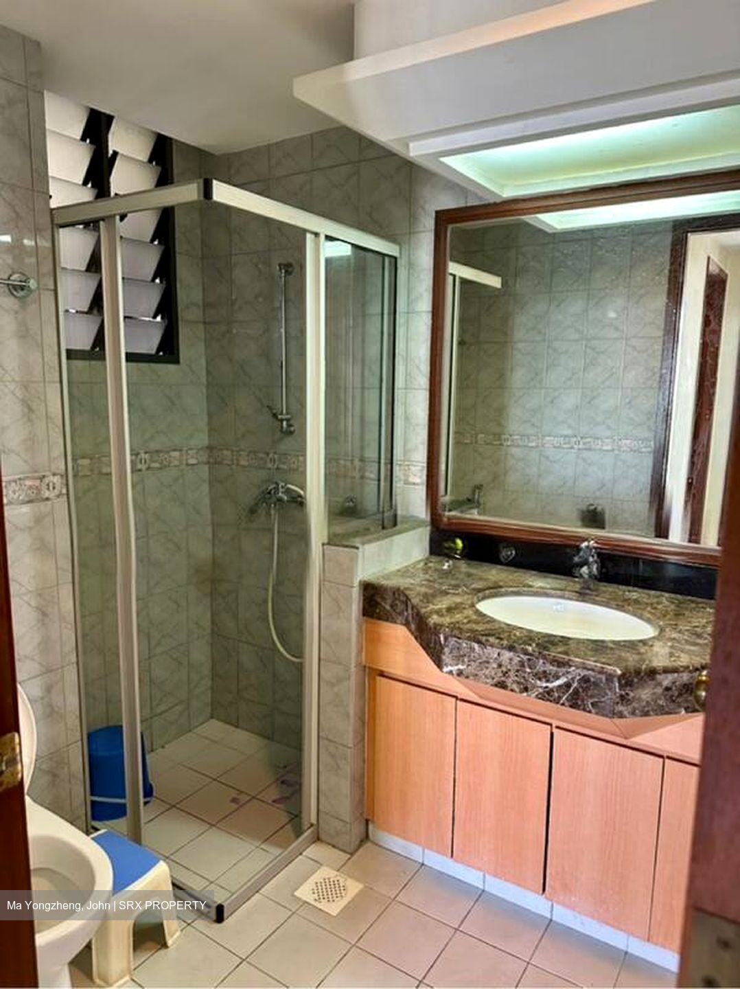 Carissa Park Condominium (D17), Condominium #506887141